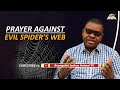 Prayer Against Evil Spiders Web -  Dreams Deliverance Prayers