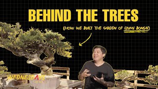 Behind the Trees