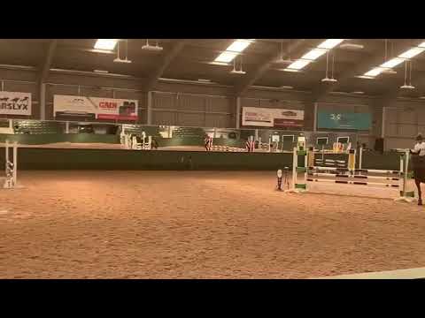 Ellie at Alnwick ford