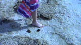 Featherstone by The Paper Kites