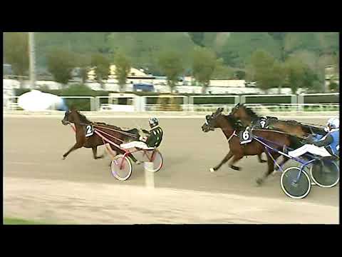 Trotto 04/12/2020 - 3ª corsa