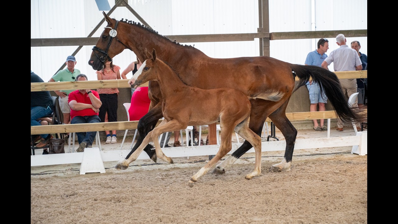 Dandy van de Herthoek (CANDY DE NANTUEL GFE x EROS PLATIERE) video 1