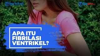 Apa Itu Fibrilasi Ventrikel?