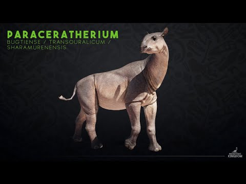 Prehistoric Kingdom PARACERATHERIUM IST DA ab 15./16. MÄRZ 2023