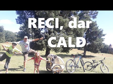 Mestecănișul de la Reci