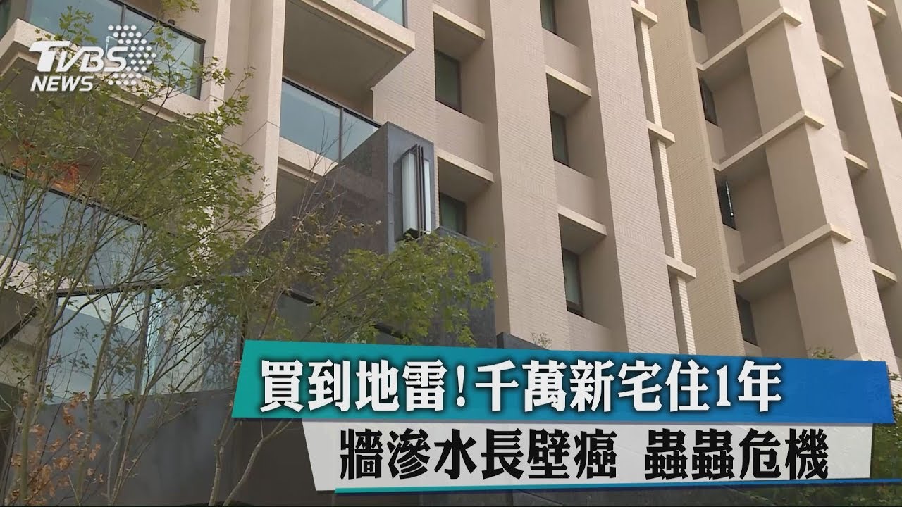 買到地雷!千萬新宅住1年 牆滲水長壁癌、蟲蟲危機