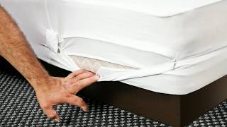 bed bug mattress cover