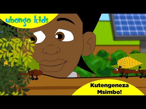 Ubongo Kids Webisode 49 - Kutengeneza Msimbo | Katuni za Elimu kwa Kiswahili
