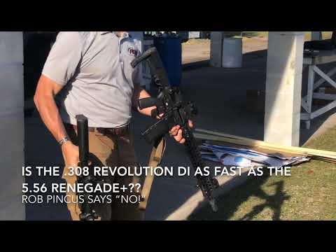 POF Rogue Review 2023 - The little Battle Rifle that can?
