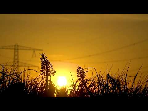 Cinematic short movie - Moerstraten