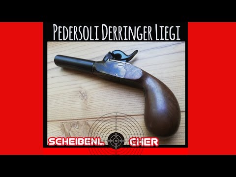 Pedersoli Liegi Derringer - Vorstellung und Schusstest (Indoor Schießen)