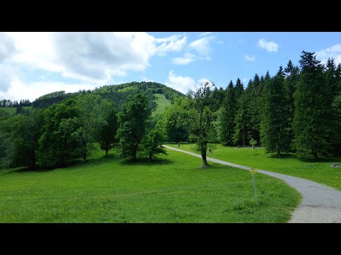 Alpine Bergtouren - (23) Österreich, Reisalpe