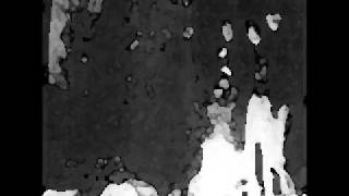 Hobnob-Vegetables-No Reasons