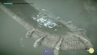ワンダと巨像　予告