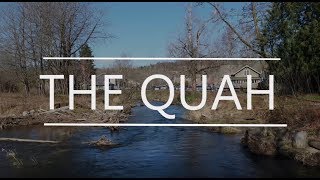 The Quah - A show created by teens for teens