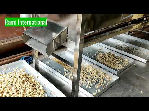 Cashew Peeling Machine