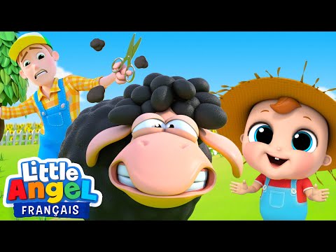 Baa Baa Mouton Noir à la Ferme | Comptines Bébé Louis | Little Angel Français