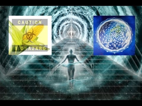 Fast Food, the Higher Self and Anchoring the Light ( The justBernard Show TV)