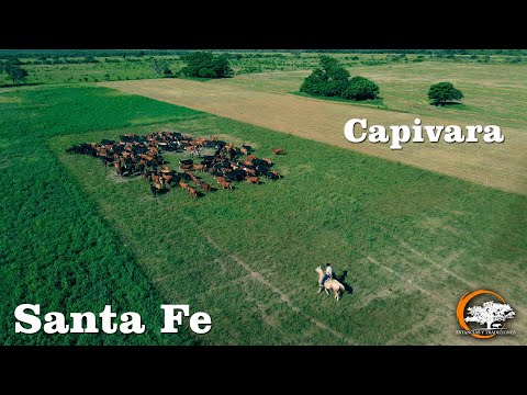 152 Hombre de Campo  - Capivara (Santa Fe) Estancias y Tradiciones