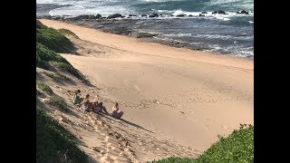 preview picture of video 'Zinkwazi Beach ||  South Africa ||  Travel Guide Video || December 2015 ||'