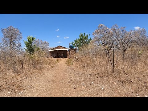 Casa na ilha do Açude Taquara: pescaria raiz em Cariré–CE.