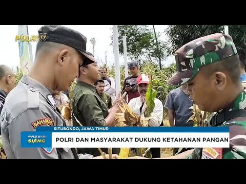 POLRES SITUBONDO PANEN JAGUNG DI LAHAN BALAI PENYULUHAN PERTANIAN