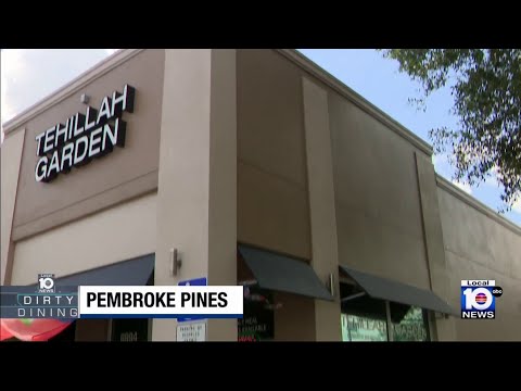 Restaurant ordered shut after inspector finds over 130 roaches