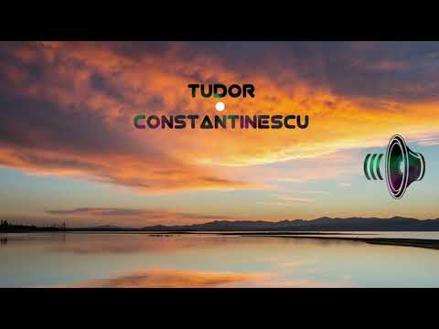 Tudor Constantinescu - Seasons