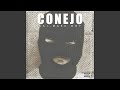 Intro - Conejo - Topic Intro