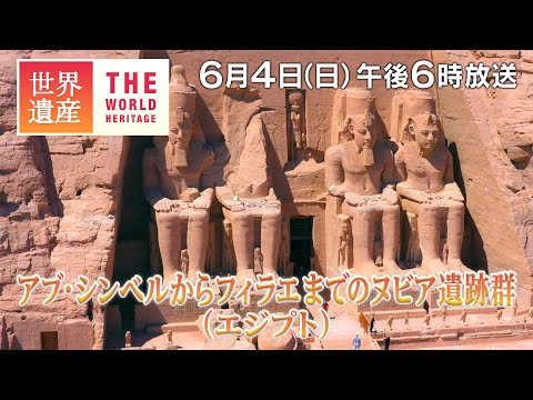 19 世紀半ばの古代フィラエ島とその寺院の地図。
