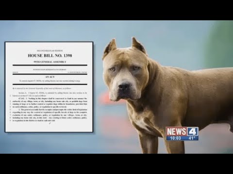Dog Kills Person: Is Breed Specific Legislation the Answer?