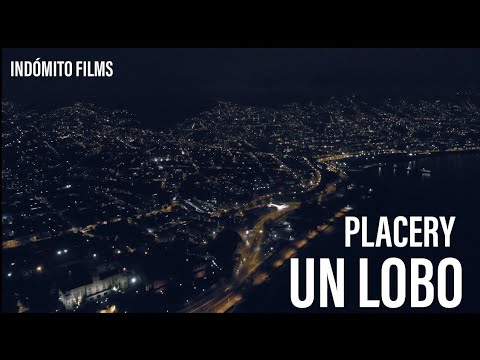PLACERY - UN LOBO (ARTE INDOMITO FILMS)