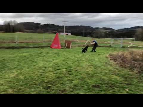 Dex vom Schwarzen Grat