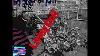 Maserati - Living Cell (Fan clip)