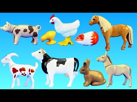 Playmobil Country Farm Animals Barn Building Set Build Review