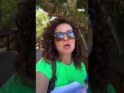 Um dos cenários mais impressionantes do Norte Pioneiro no #Plug: Salto Cavalcânti, em Tomazina