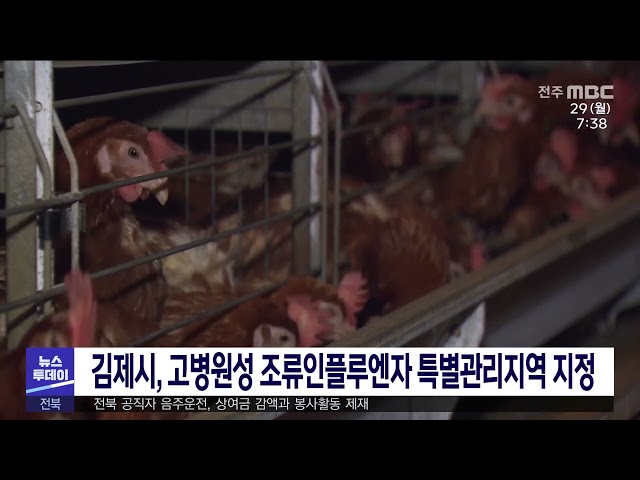 김제시, 고병원성 조류인플루엔자 특별관리지역 지정