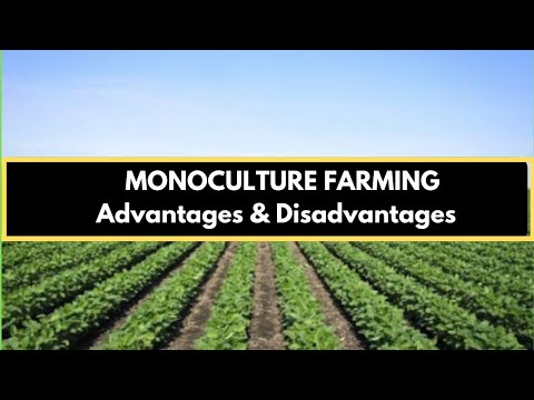 YouTube video about The Pros and Cons of Monoculture Farming