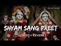 Meri Lagi Shyam Sang Preet Lofi Song Slowed Reverb Devi Chitralekha RN Lofi Alone