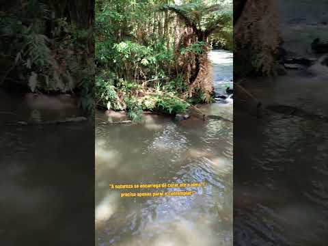 União da Vitória PR