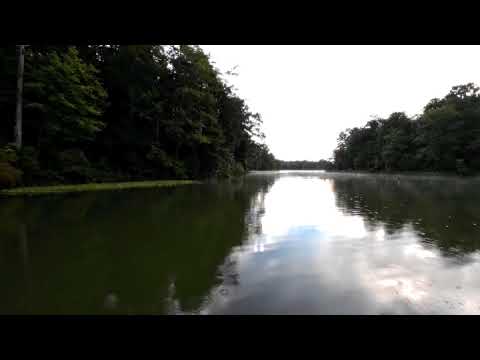 This morning in the rain