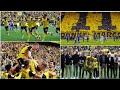 😱😳 MARCO REUS free-kick goal & amazing performance in final home game Dortmund vs Darmstadt 2-0