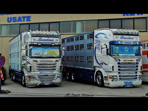 Scania R580 & R620 V8 - Bendini Livestock Transport