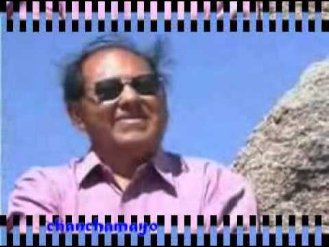 Soltero Vidaschallay - Los Puquiales