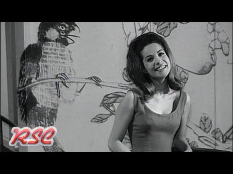 Jacqueline Boyer - Butterfly (Soeben eingetroffen, 22.06.1965)