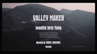 Beautiful Birds Flying Music Video