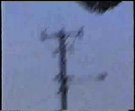 ORIGINAL FALUMA suriname paramaribo a great city 4