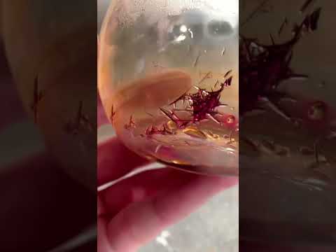 SGH07: 有毒、刺激性、感作性、麻薬性