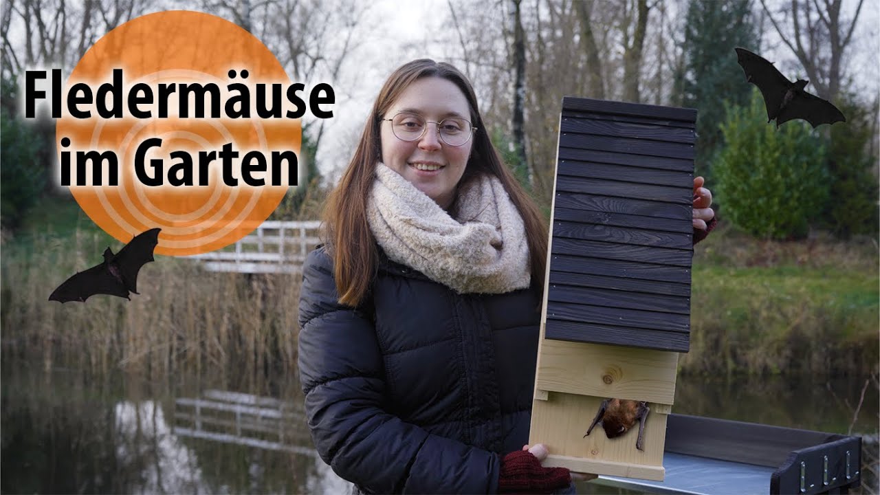 dobar green label Fledermauskasten «Pteropodidae» 19.5 x 14 x 53.5 cm, Holz dobar green label Fledermauskasten «Pteropodidae» 19.5 x 14 x 53.5 cm, Holz