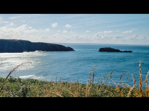 Catching Pollack on soft plastics